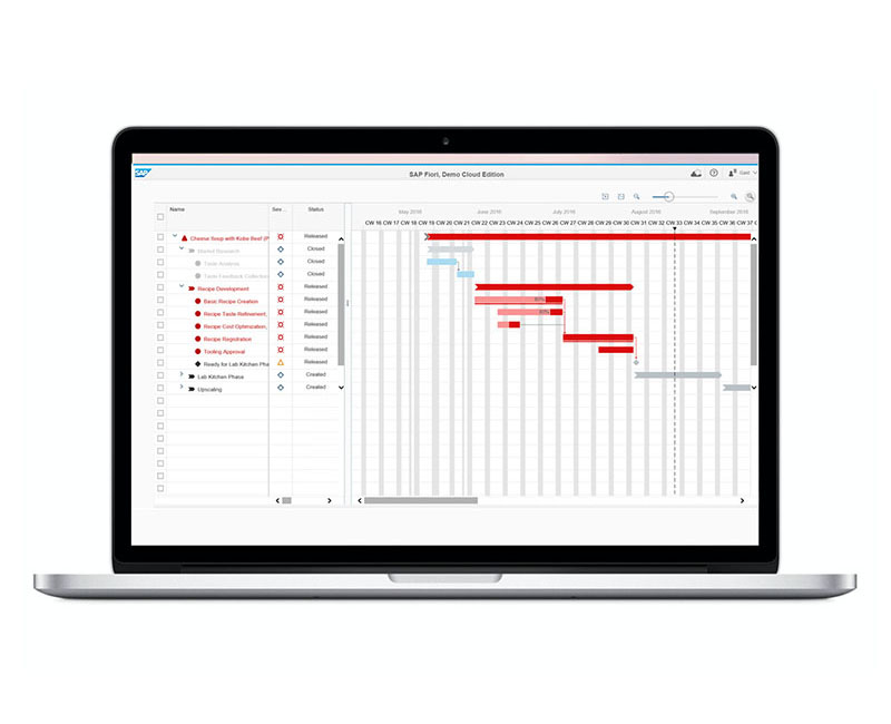 SAP Gantt Chart